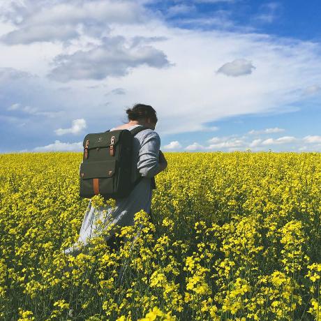 Am ersten Sonntag im Oktober feiern die deutschen katholischen Gemeinden das Erntedankfest