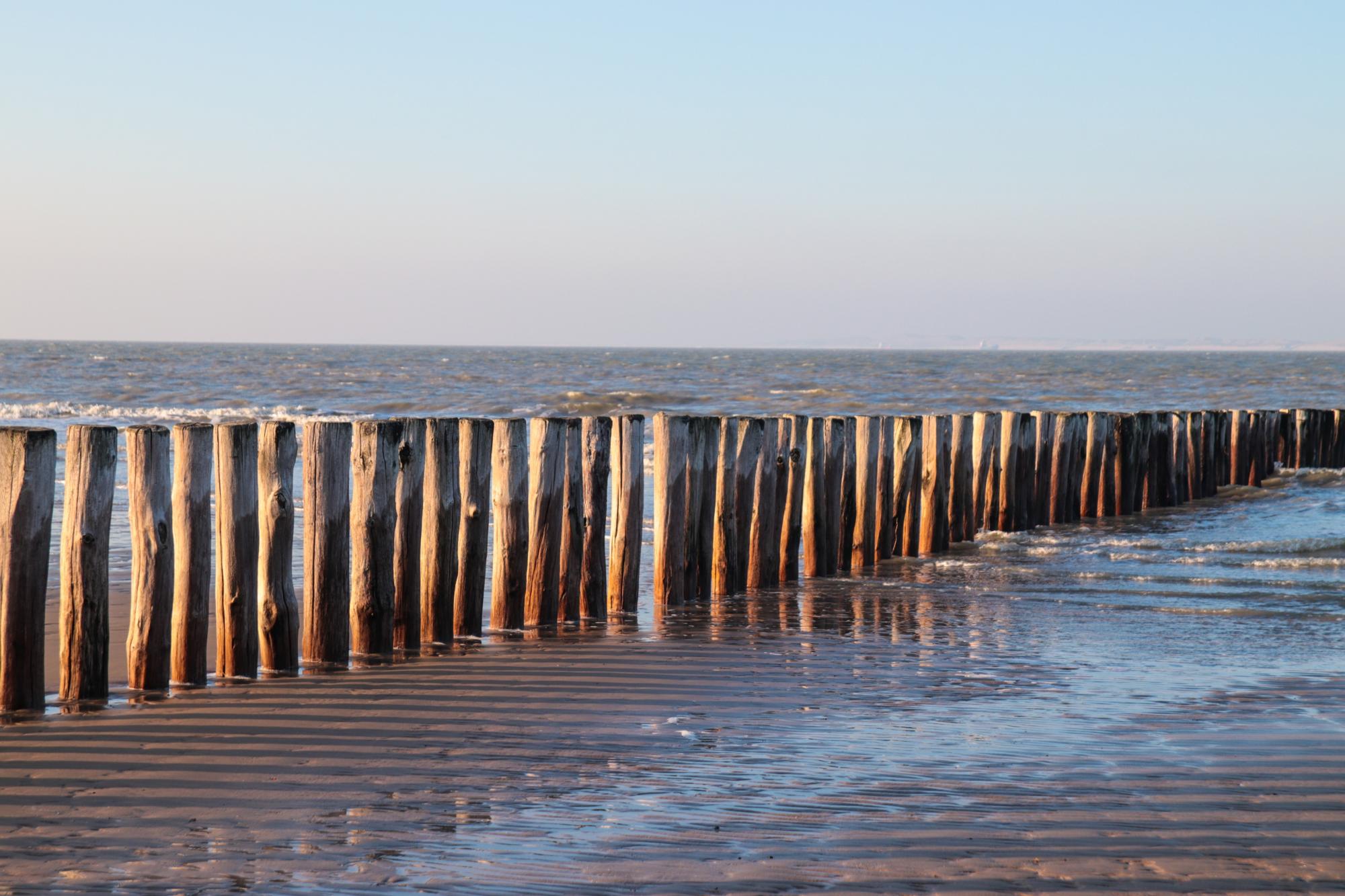 am Meer
