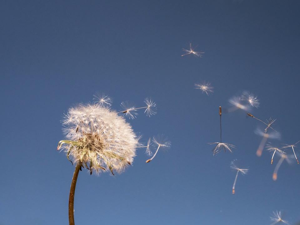 Impuls Pfingsten Bild